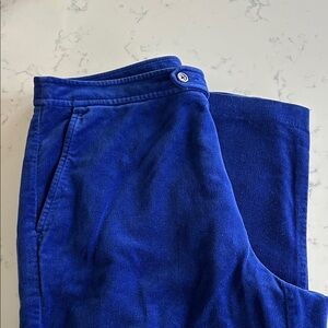 Cobalt Blue Velvet Pants